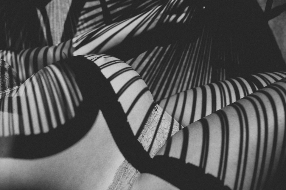 gravida e plano de parto